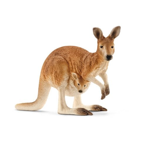 Kanguru