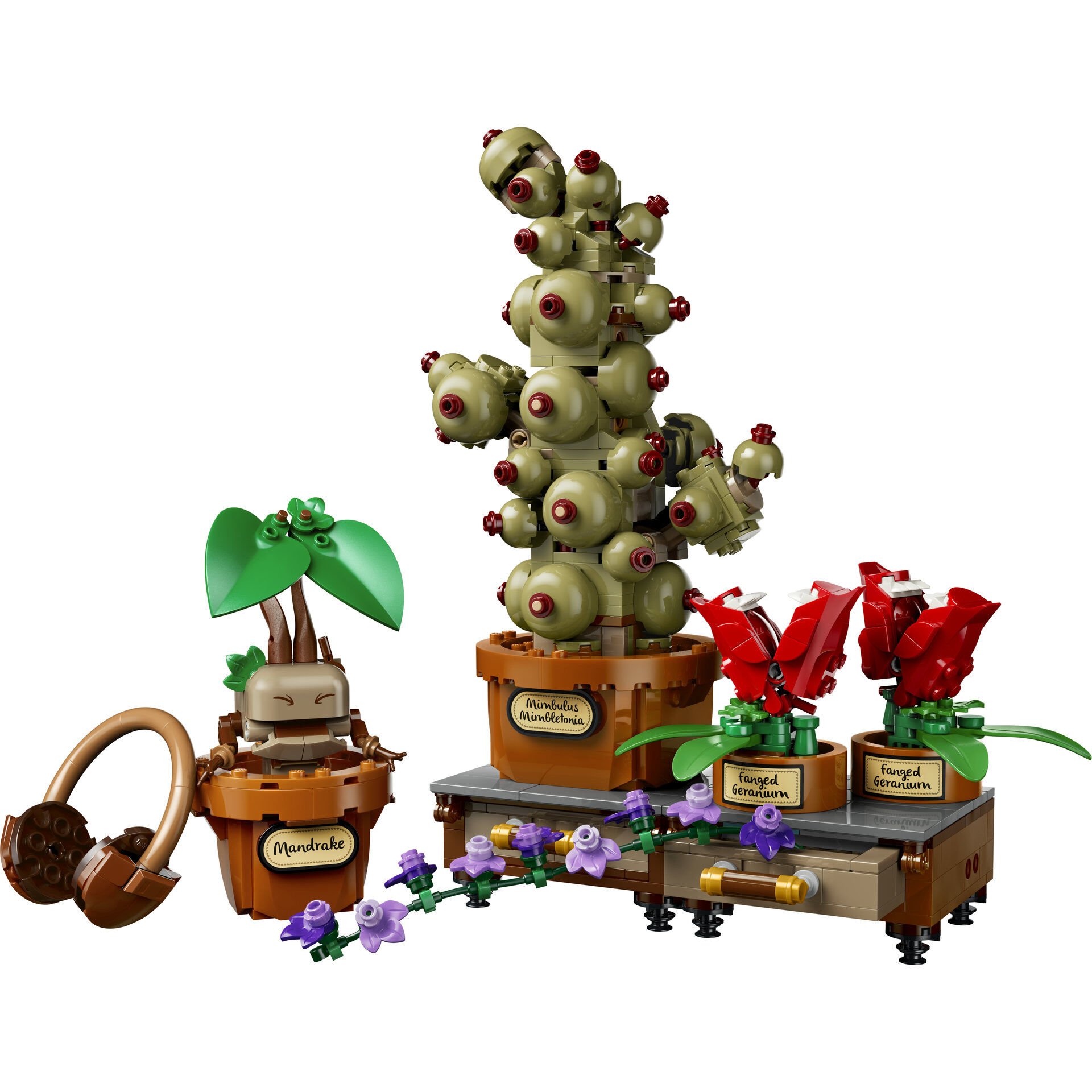Harry 様 LEGO® Harry Potter™ Hogwarts™ Bitkibilim Bitkileri 76474