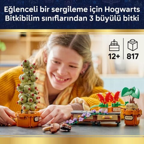 LEGO® Harry Potter™ Hogwarts™ Bitkibilim Bitkileri 76474