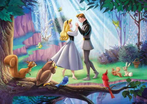 1000 Parçalı Puzzle WD Uyuyan Güzel
