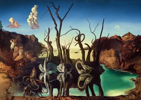 1000p Puzzle Dali Filleri Yansıtan Kuğular