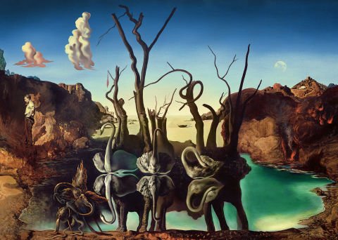 1000 Parça Puzzle Dali Filleri Yansıtan Kuğular