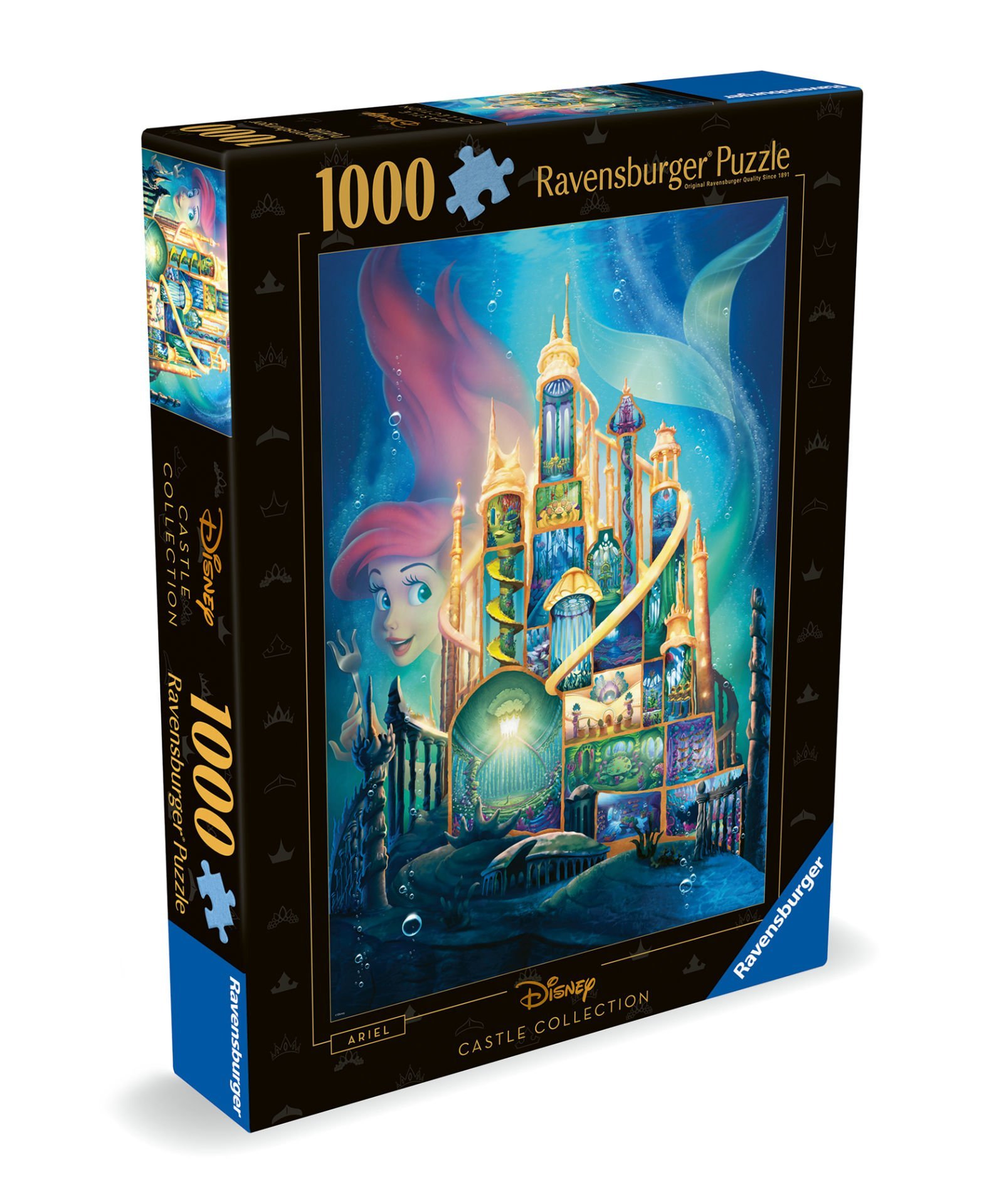 1000 Parçalı Puzzle WD Ariel Şato