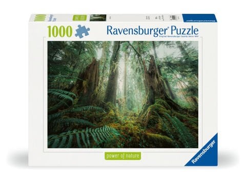 1000p Puzzle Ormanda