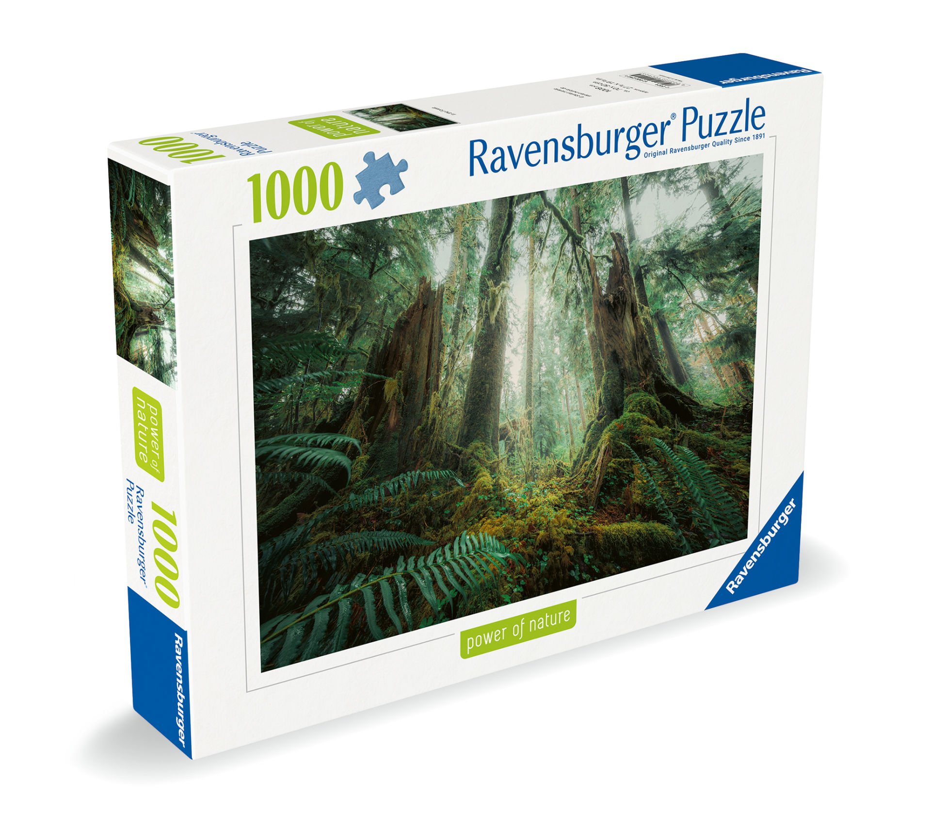 1000p Puzzle Ormanda