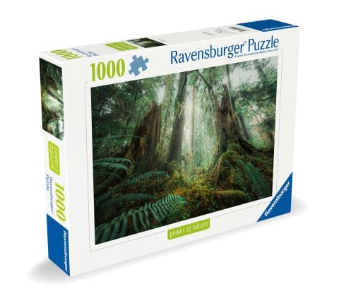 1000p Puzzle Ormanda