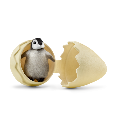 Penguen Ailesi