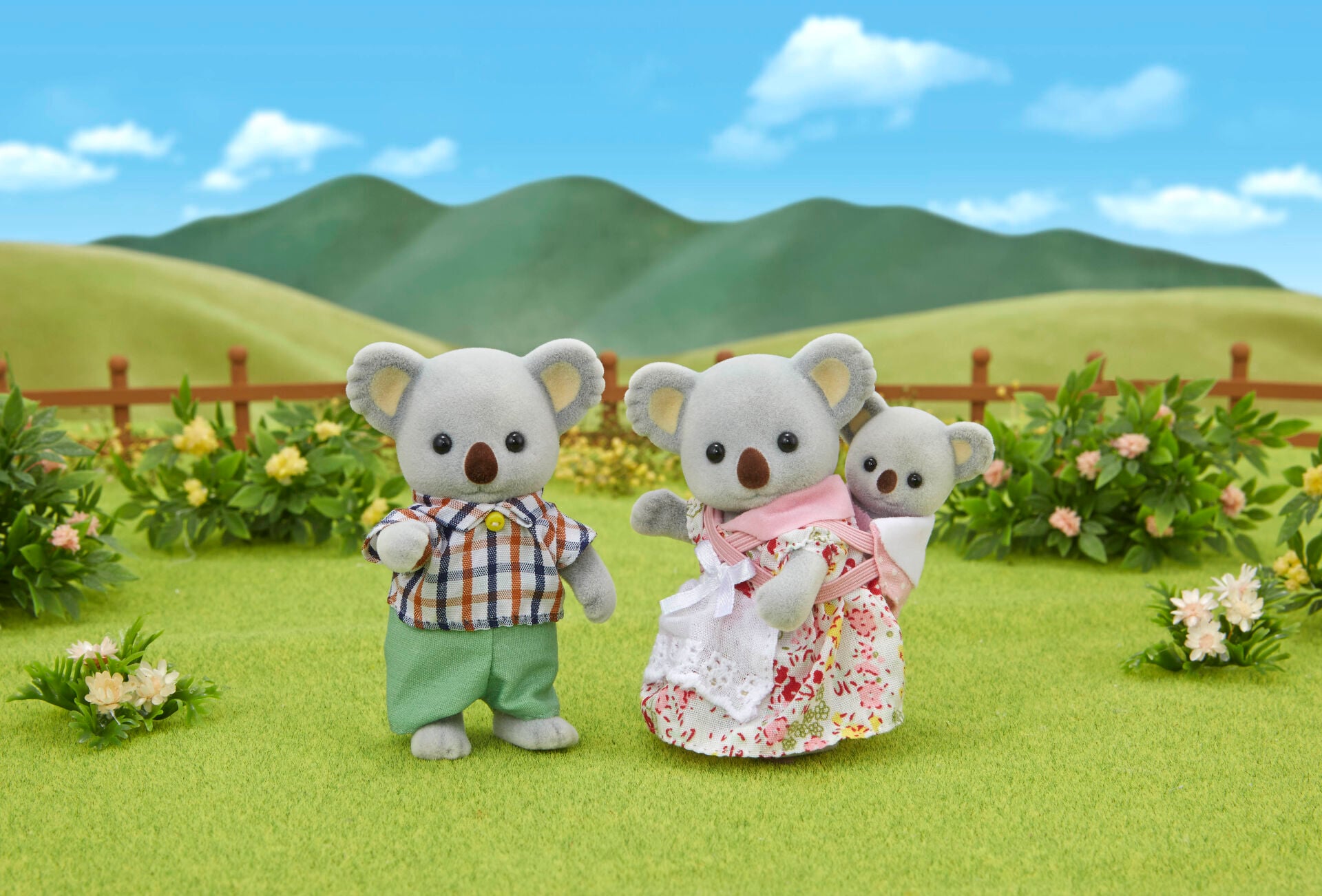 Koala  Ailesi