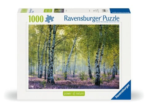 1000p Puzzle Huş Ormanı