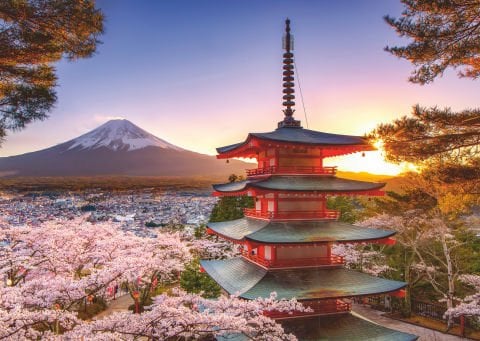 1000 Parçalı Puzzle Japon Kiraz Ağacı