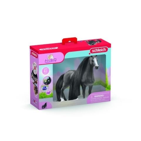 Q Horse Kısrak Güzellik Seti