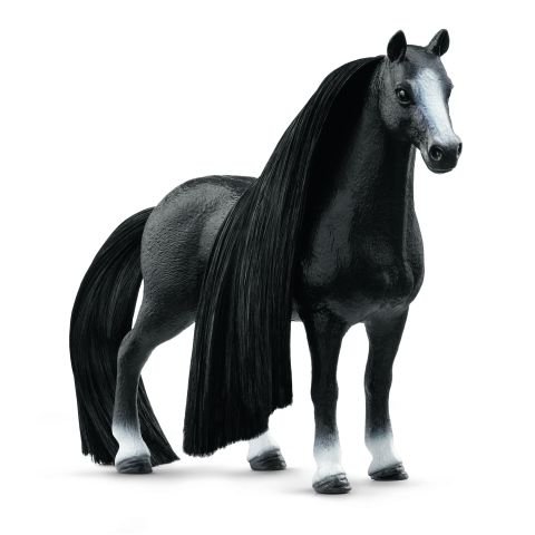 Q Horse Kısrak Güzellik Seti