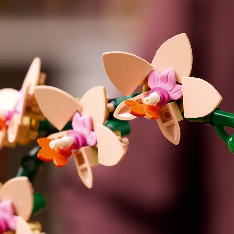 LEGO® Botanicals Mini Orkide Modeli 10343