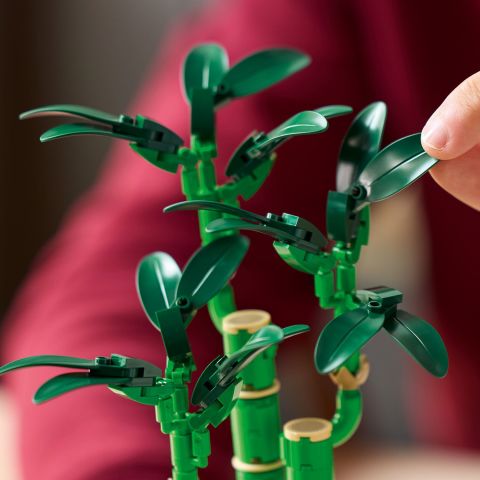 LEGO® Botanicals Şans Bambusu Dekoratif Bitki 10344