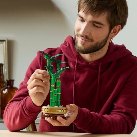 LEGO® Botanicals Şans Bambusu Dekoratif Bitki 10344