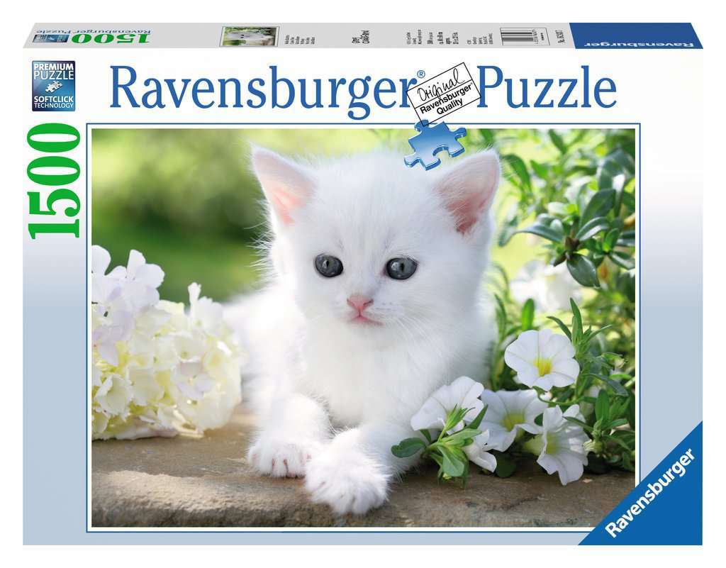 1500p Puz Beyaz Kedi