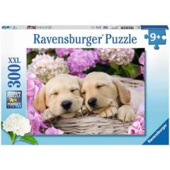 300p Puz Sepetteki Tatlı Köpekler