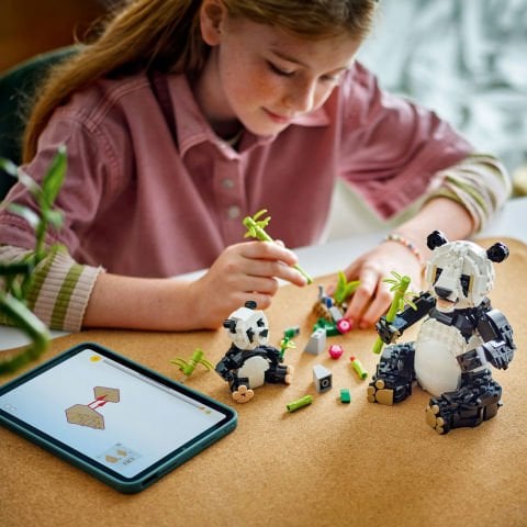 LEGO® Creator 3'ü 1 Arada Vahşi Hayvanlar: Panda Ailesi Oyun Seti 31165