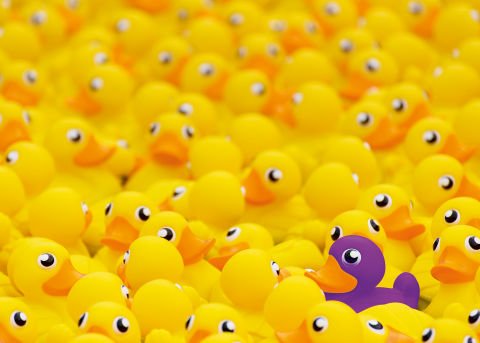 1000p Puz Ördekler Challenge Puzzle