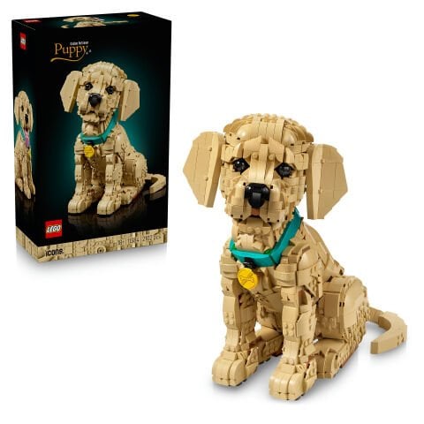 LEGO® Yavru Golden Retriever 11384