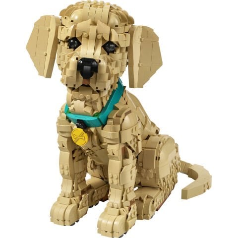LEGO® Yavru Golden Retriever 11384