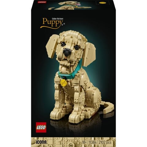 LEGO® Yavru Golden Retriever 11384