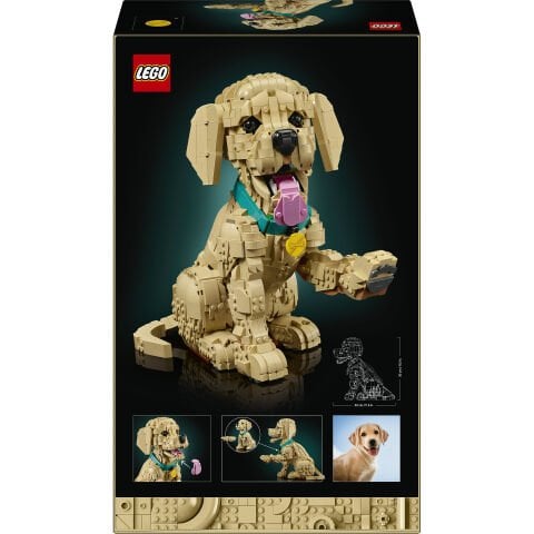 LEGO® Yavru Golden Retriever 11384