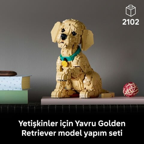 LEGO® Yavru Golden Retriever 11384