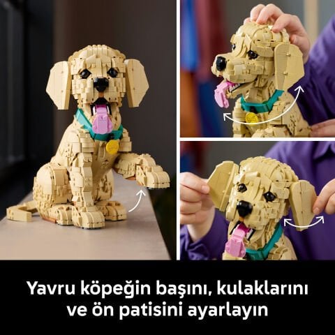 LEGO® Yavru Golden Retriever 11384