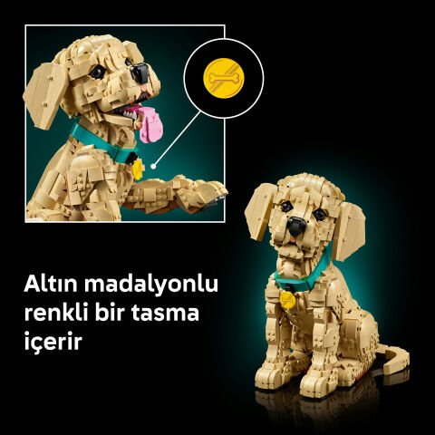 LEGO® Yavru Golden Retriever 11384