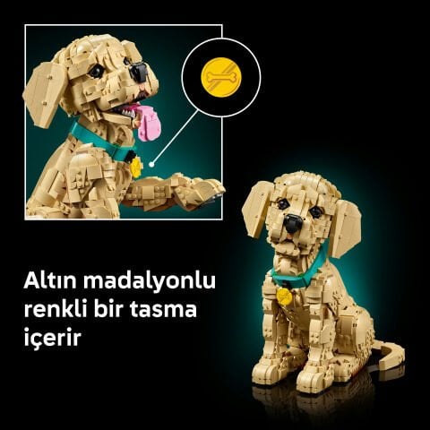LEGO® Yavru Golden Retriever 11384