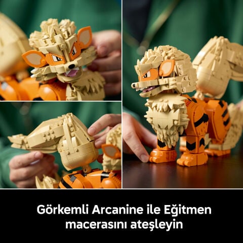 LEGO® Pokémon™ Arcanine 72160