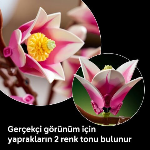 LEGO® Botanicals Manolya Dalları 11510