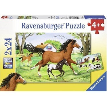 2x24p Puz World of Horses