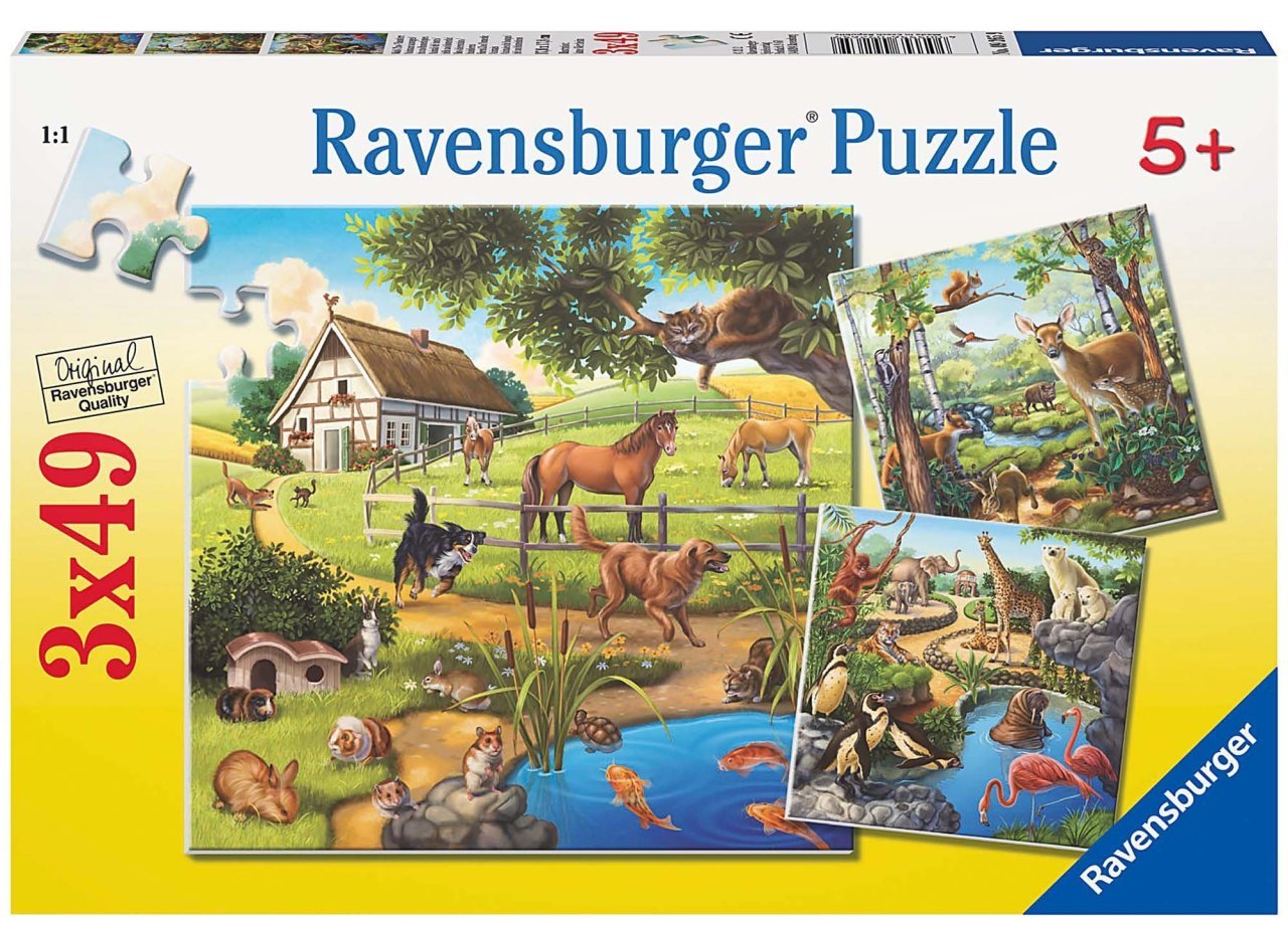 3x49p Kır Evi ve Hayvanlar