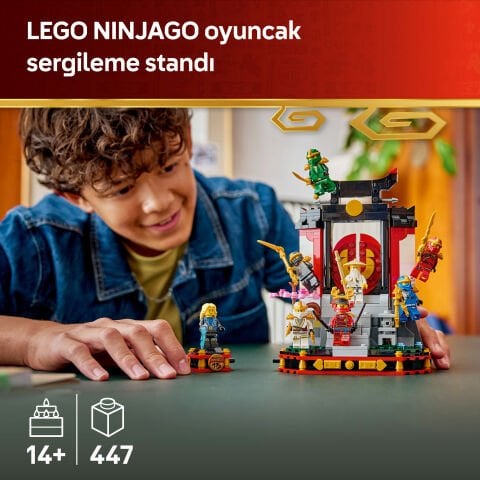LEGO® NINJAGO® Karakteri Sergileme Modeli 15. Yıl Dönümü 71866