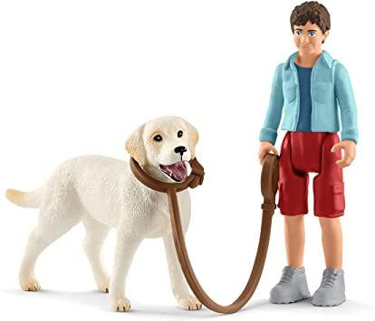 Labrador ile Yürüyüş