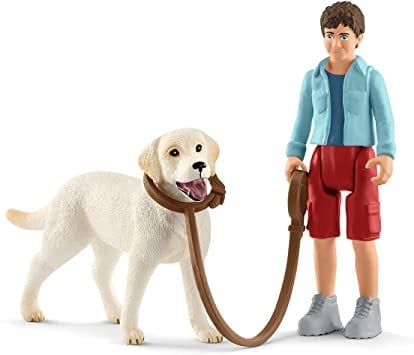 Labrador ile Yürüyüş