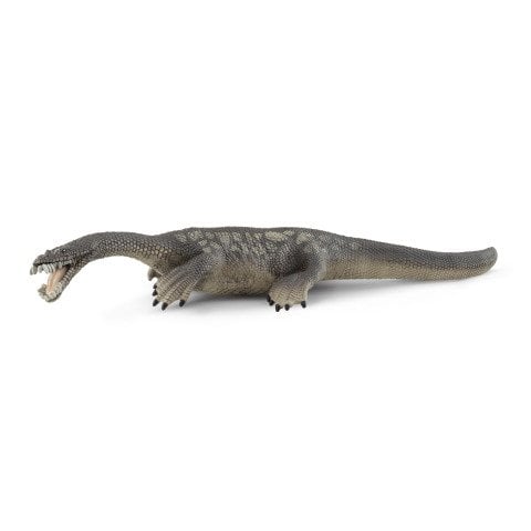 Notozorus