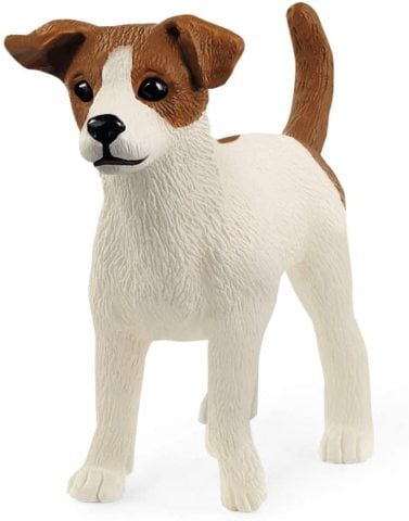 Jack Russell Teriyer