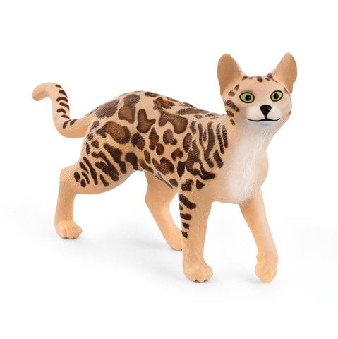 Bengal Kedi