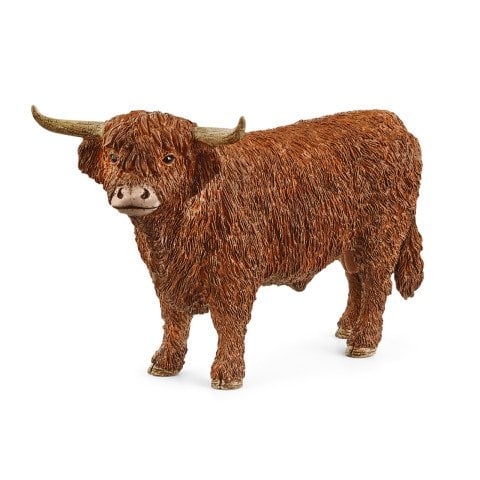 Highland Boğa