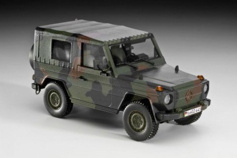 Lkw gl leicht ''Wolf''