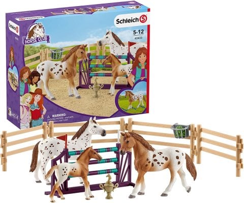 Lisanın Turnuva eğitimi
