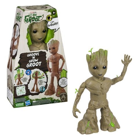 Dans Eden Groot