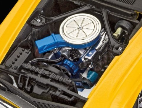 1969 Ford Mustang Boss 302