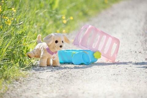 Baby born Köpeğim Lucky