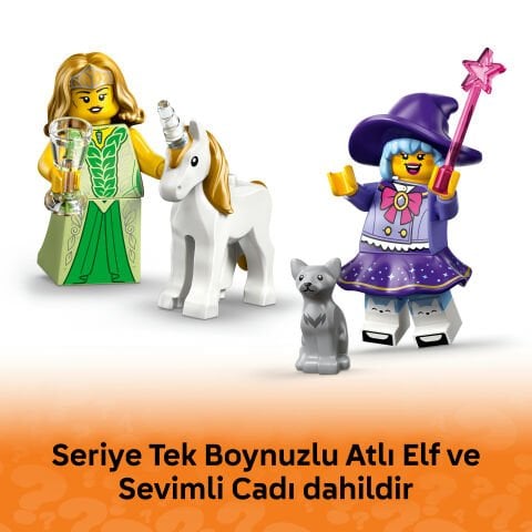 LEGO® Minifigures Seri 29 71052