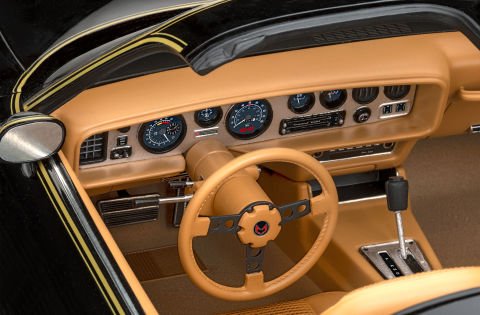 ’79 Pontiac™ Firebird™ Trans Am