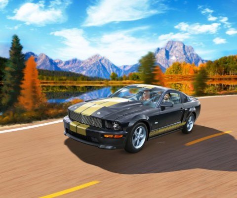 2006 Ford Shelby